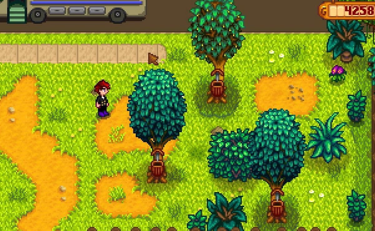 星露谷物语 终极版 截图2